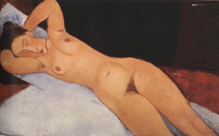 Amedeo Modigliani Nude (mk39) china oil painting image